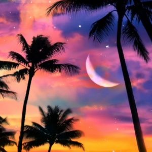 Meet your Posher, Marcus